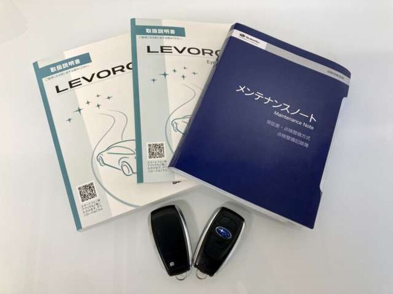 LEVORG