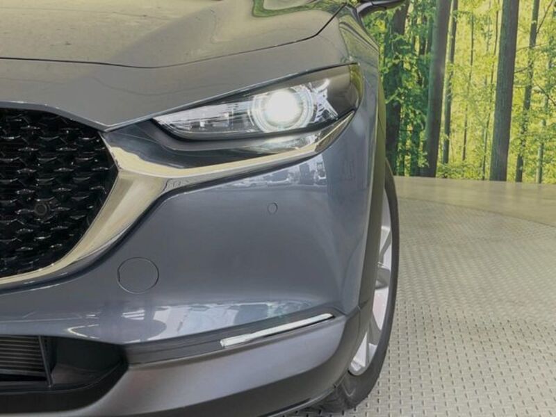 CX-30