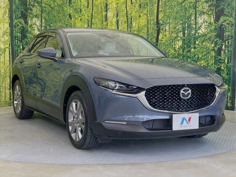 CX-30