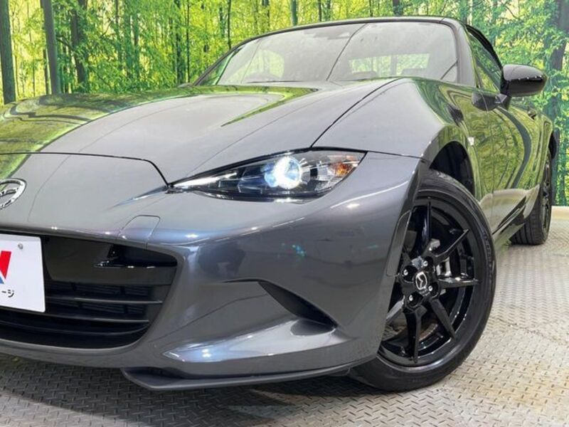 ROADSTER