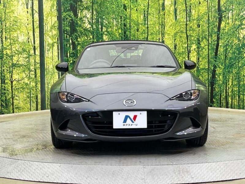 ROADSTER
