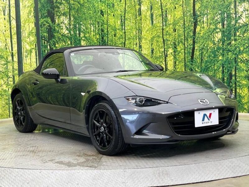 ROADSTER