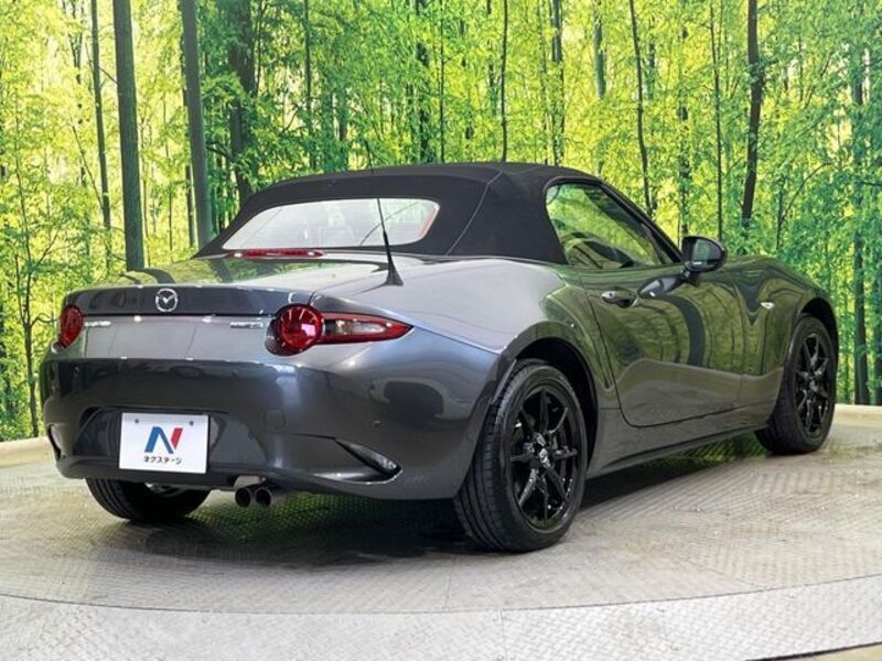 ROADSTER