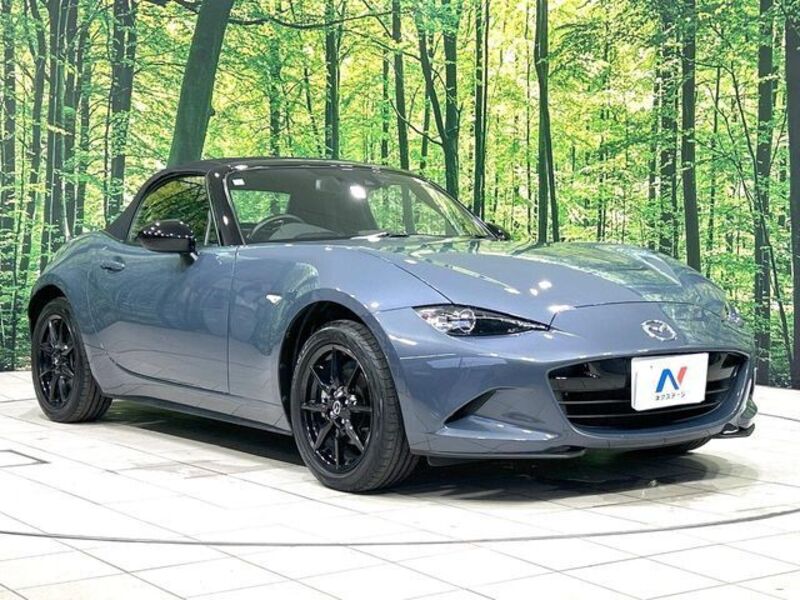 ROADSTER