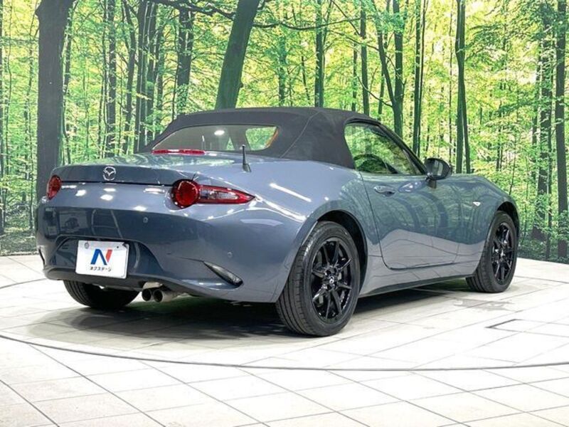 ROADSTER