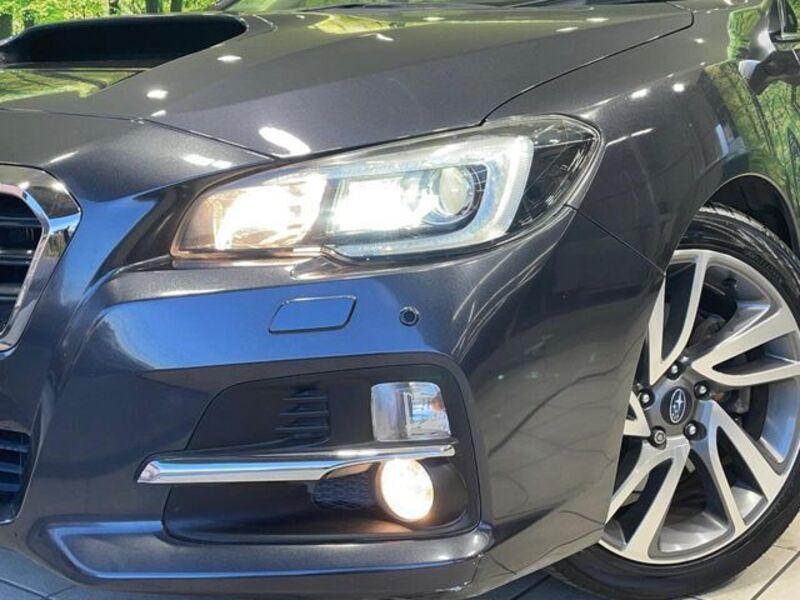LEVORG