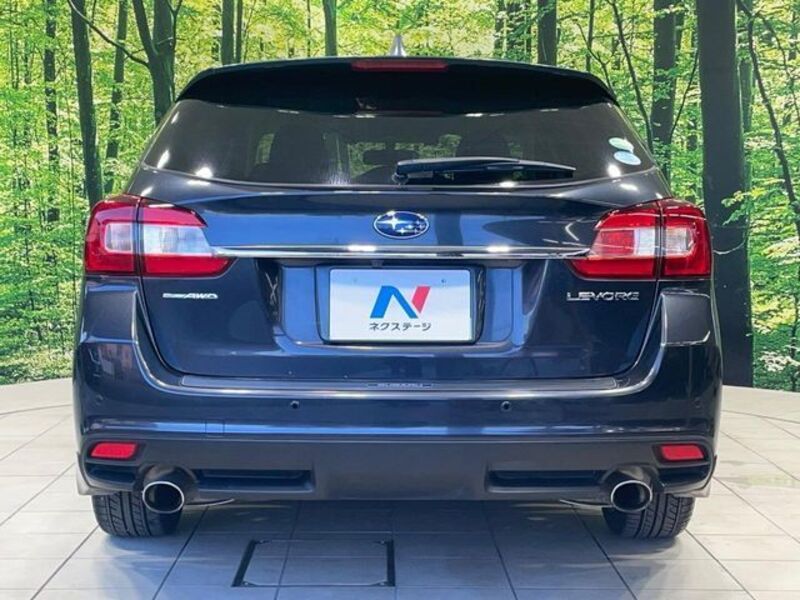 LEVORG