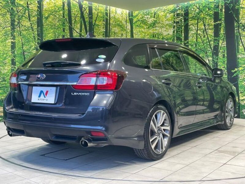 LEVORG