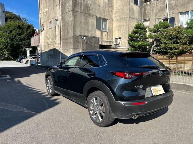 CX-30