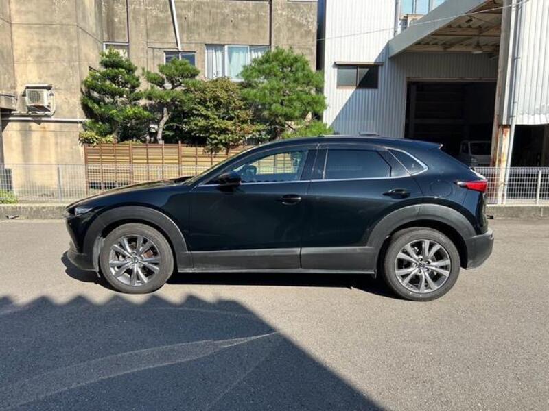 CX-30