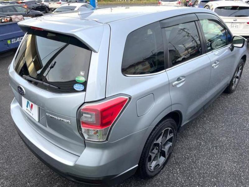 FORESTER