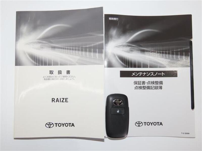 RAIZE