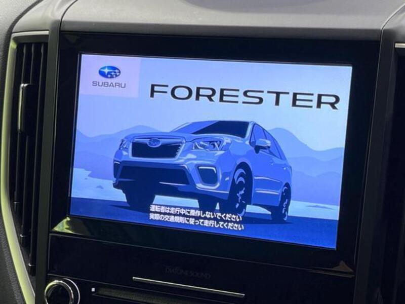 FORESTER