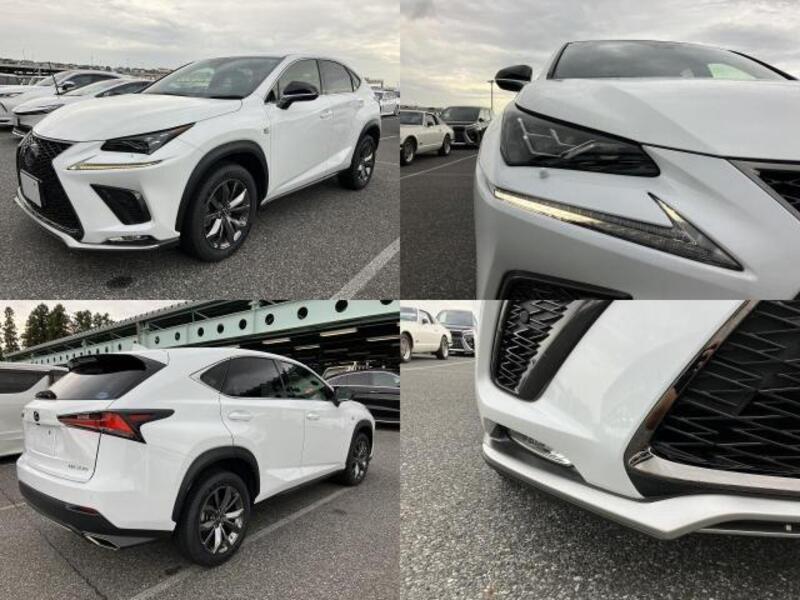 NX