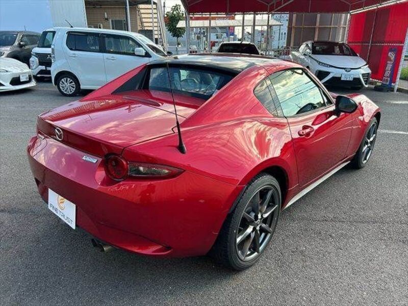 ROADSTER RF
