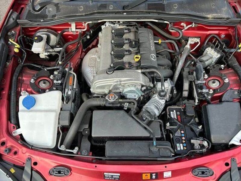 ROADSTER RF