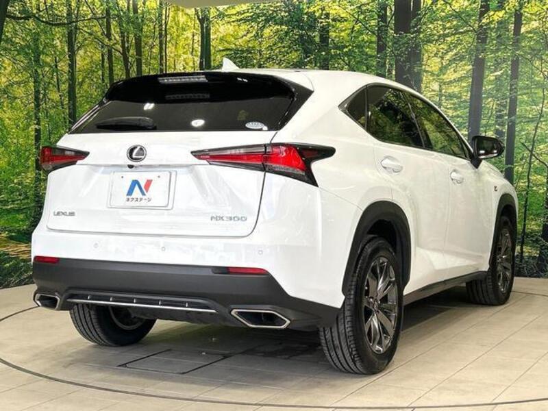 NX