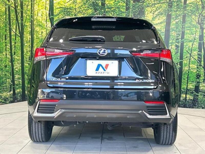 NX