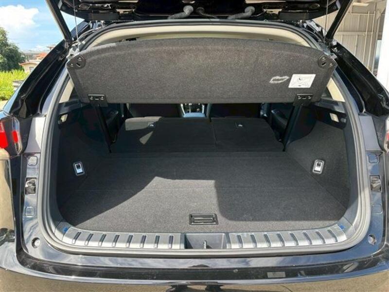 NX