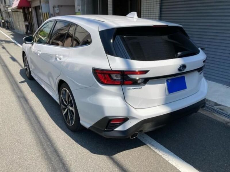 LEVORG