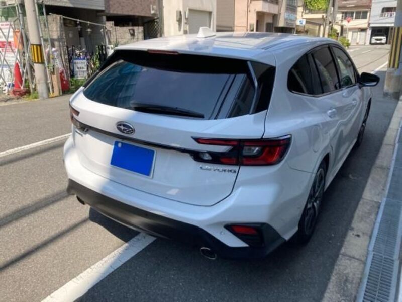 LEVORG