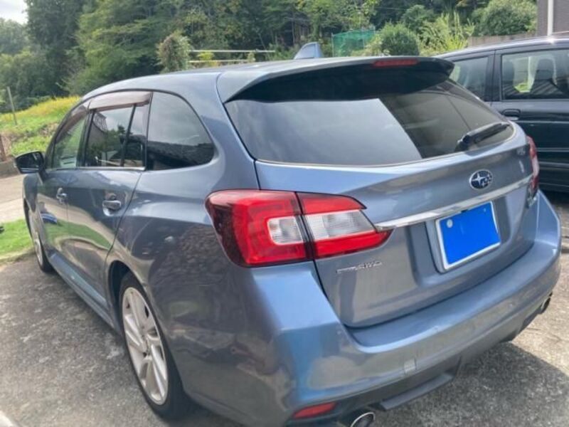 LEVORG