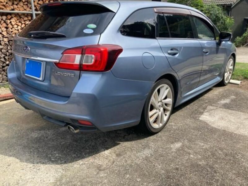 LEVORG