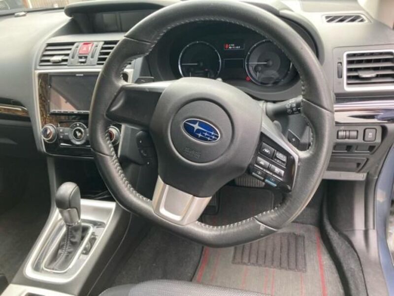 LEVORG