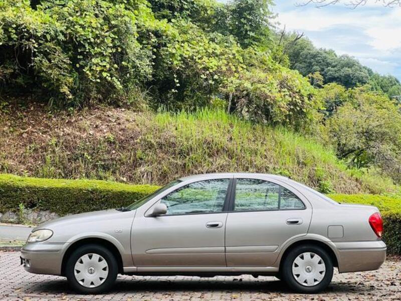BLUEBIRD SYLPHY