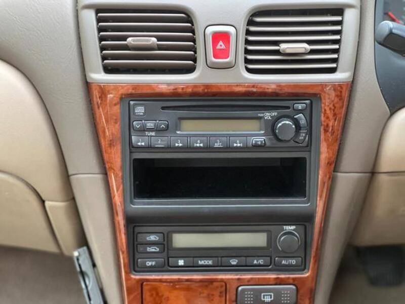 BLUEBIRD SYLPHY