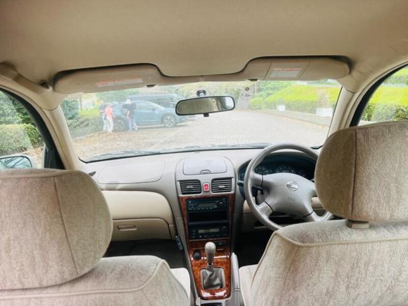 BLUEBIRD SYLPHY