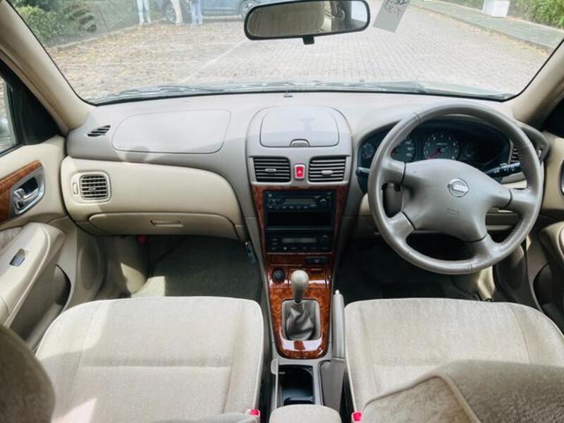 BLUEBIRD SYLPHY