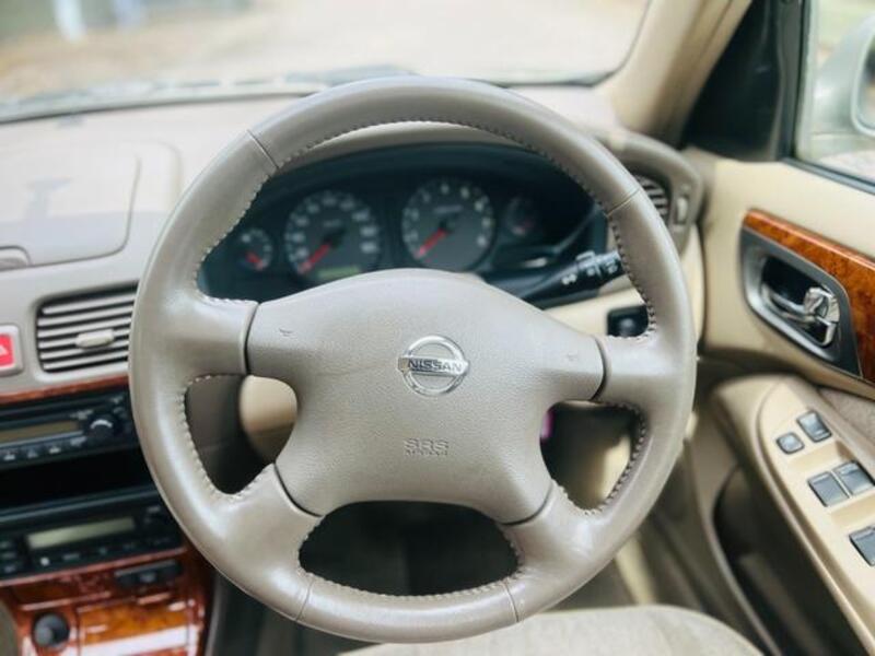 BLUEBIRD SYLPHY