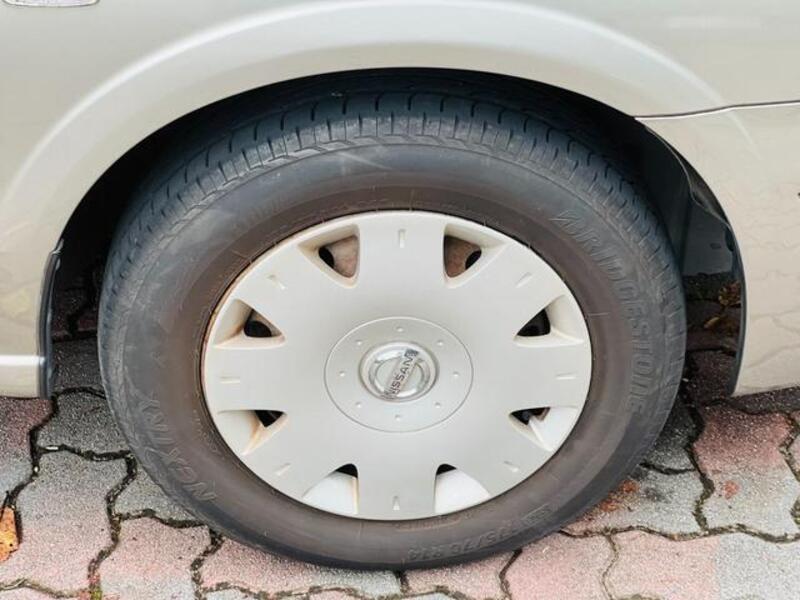 BLUEBIRD SYLPHY