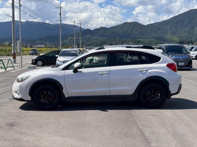 XV