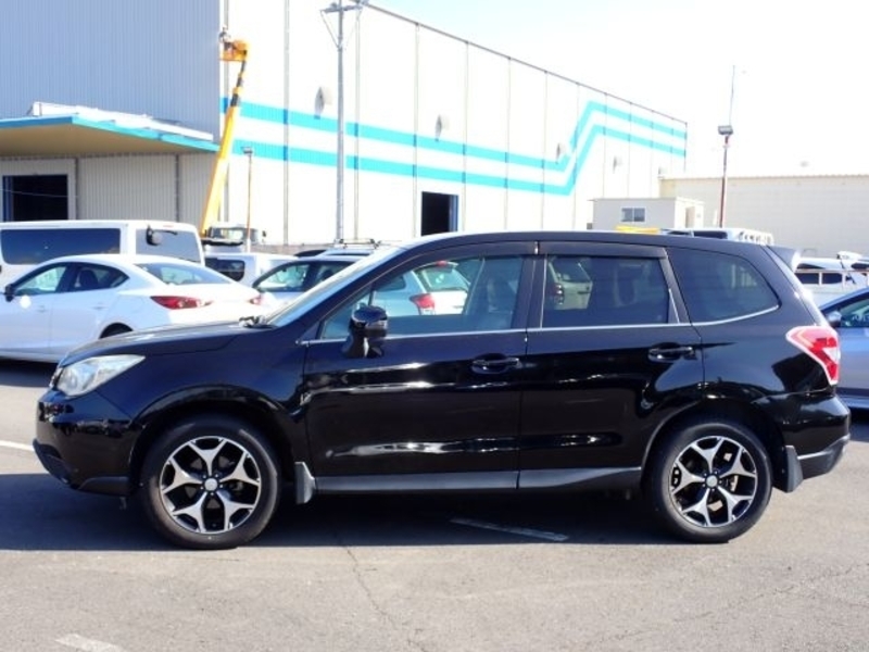 FORESTER