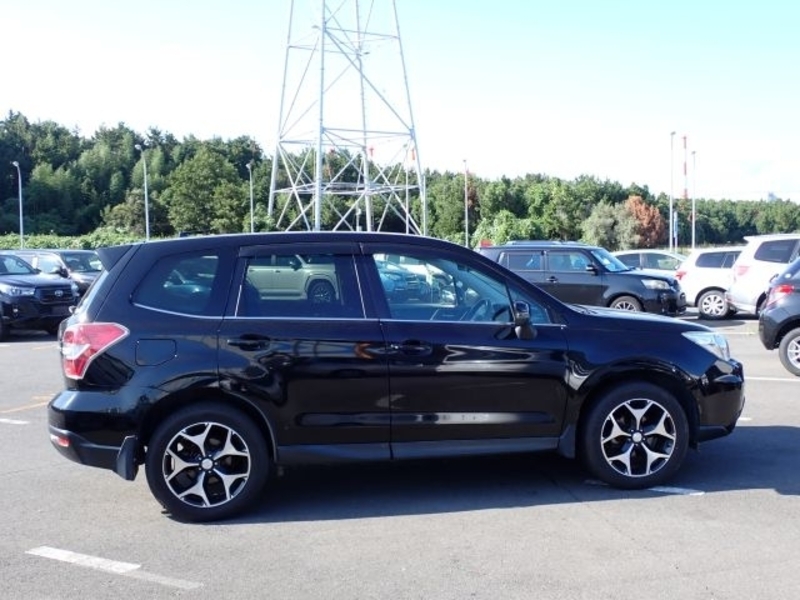 FORESTER