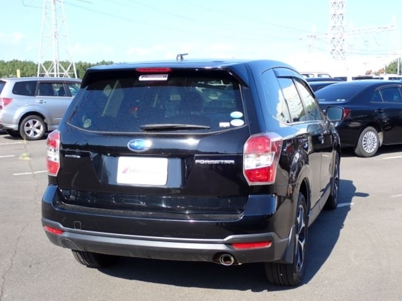 FORESTER