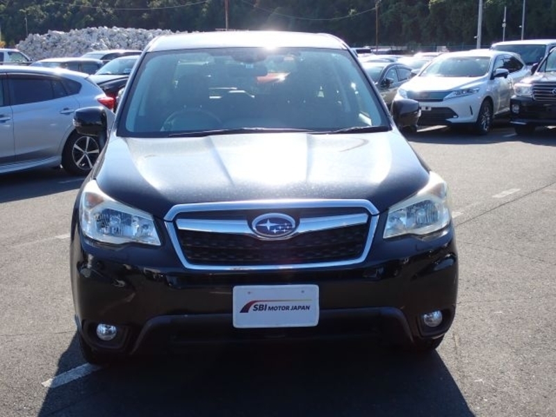 FORESTER