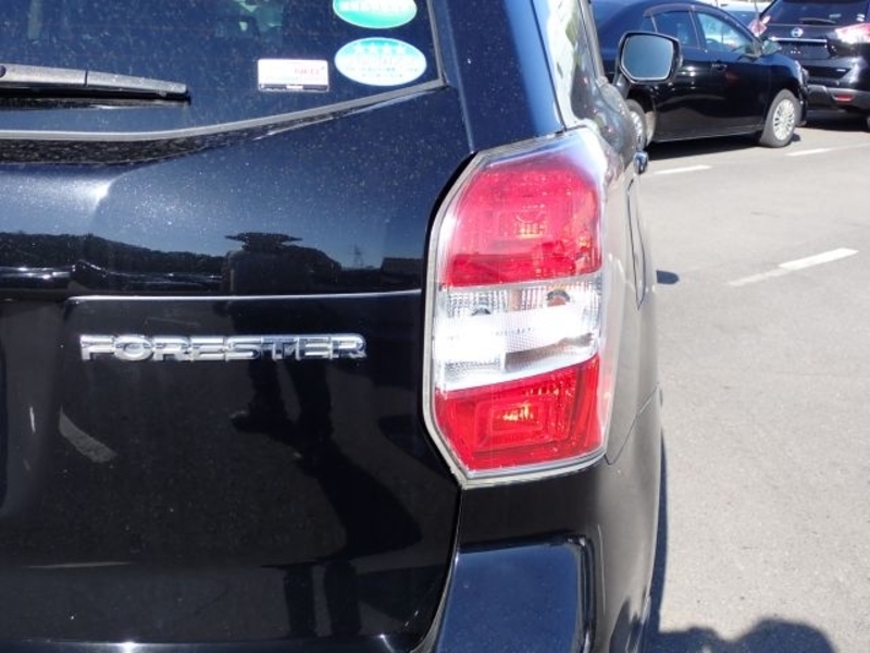 FORESTER