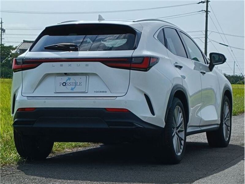 NX