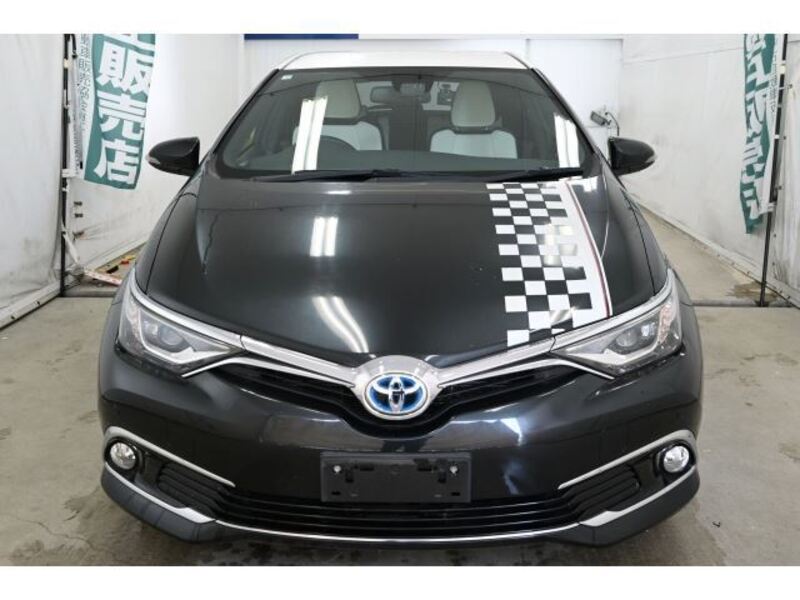 AURIS