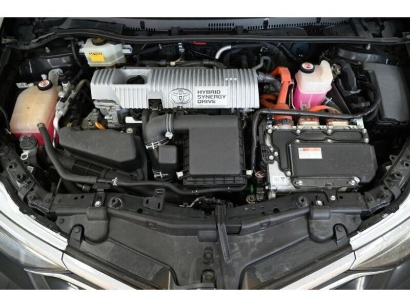 AURIS