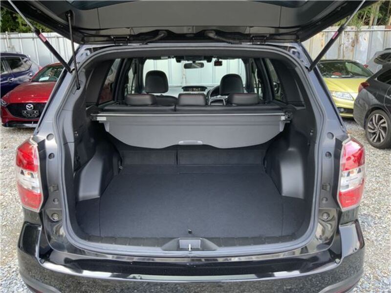 FORESTER