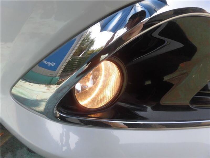 AURIS
