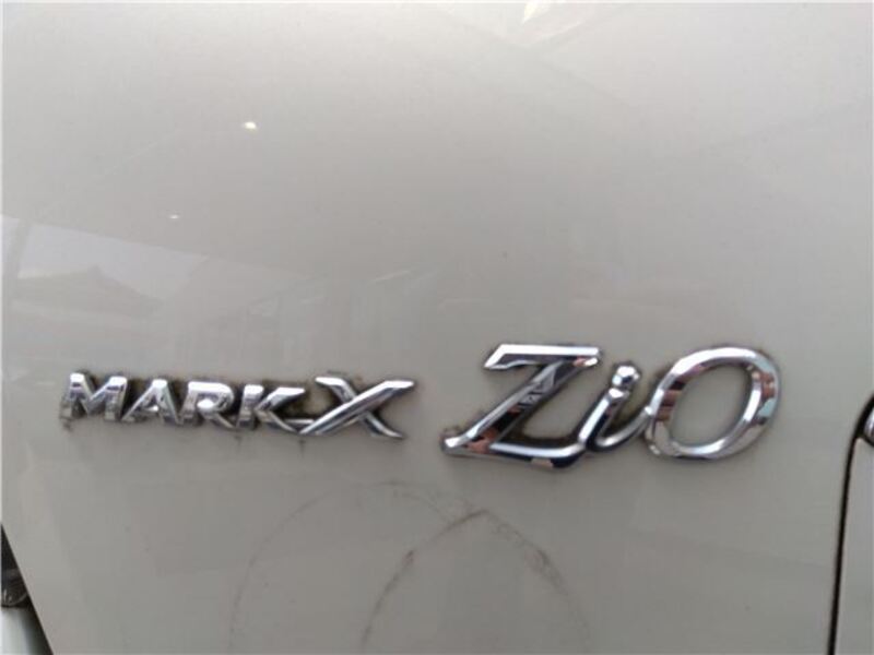 MARK X ZIO