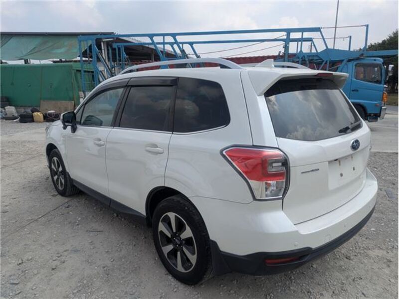 FORESTER