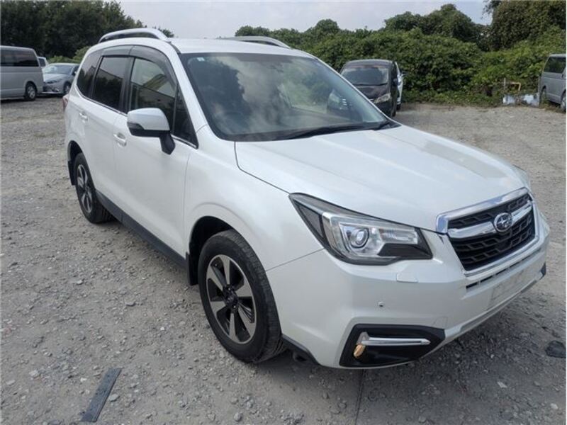 FORESTER