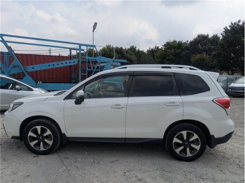 FORESTER