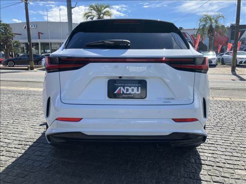 NX